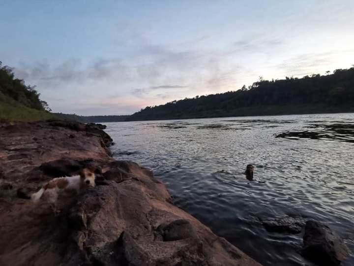 Nativa Iguazu 호텔 푸에르토이과수 외부 사진