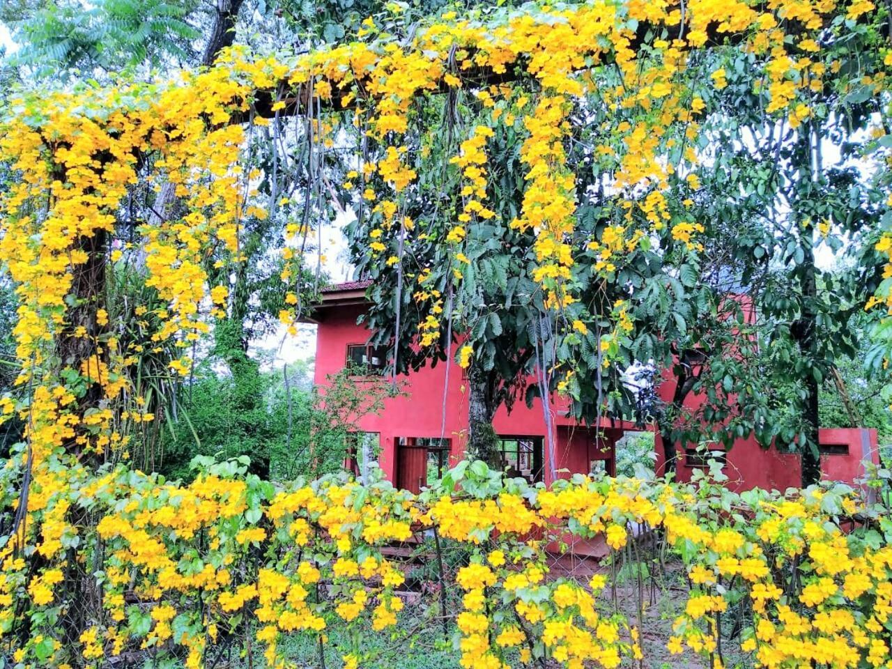 Nativa Iguazu 호텔 푸에르토이과수 외부 사진